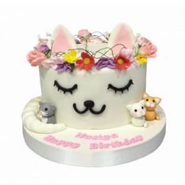 Cat Cake